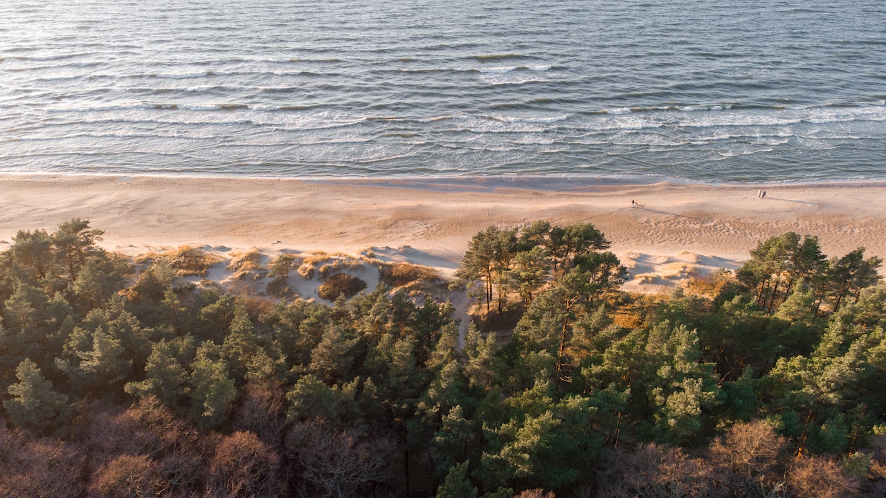 Drone Photography of Beach during Daytime